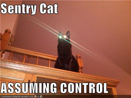 sentry-cat-assuming-control
